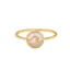 Pura Vida Encinitas Ring in Gold