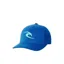 Rip Curl Kids Tepan Flexfit Cap in Light Blue